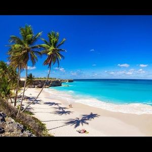 Meet your Posher, Riley